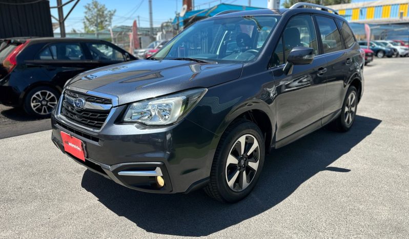 WhatsApp Image 2026-02-21 at 17.02.09 (1)